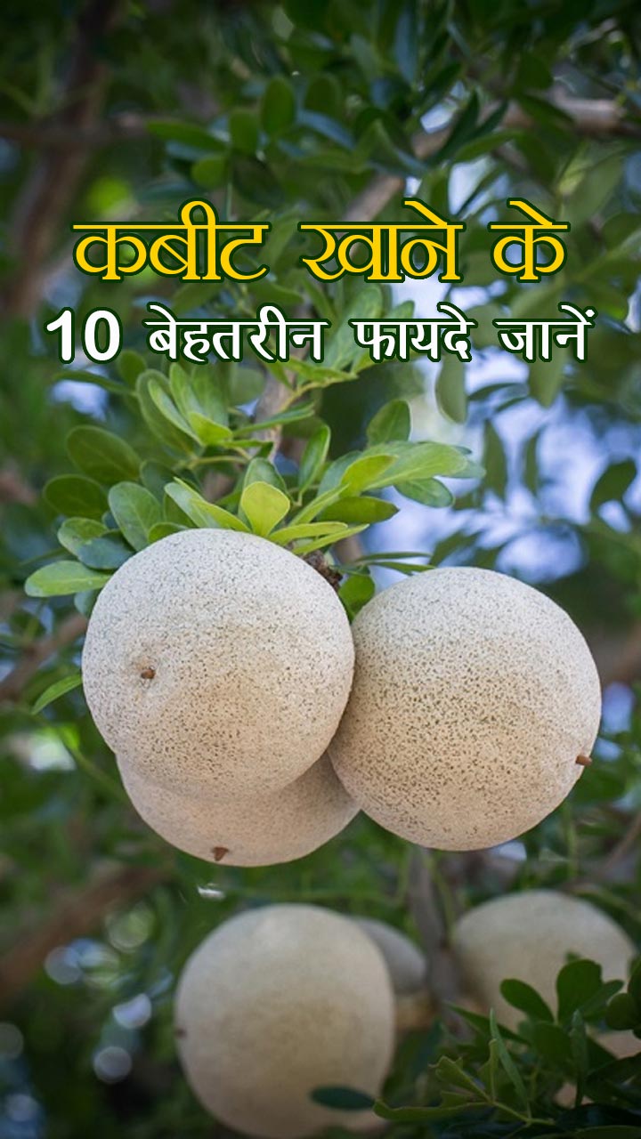 कबीट खाने के 10 बेहतरीन फायदे जानें