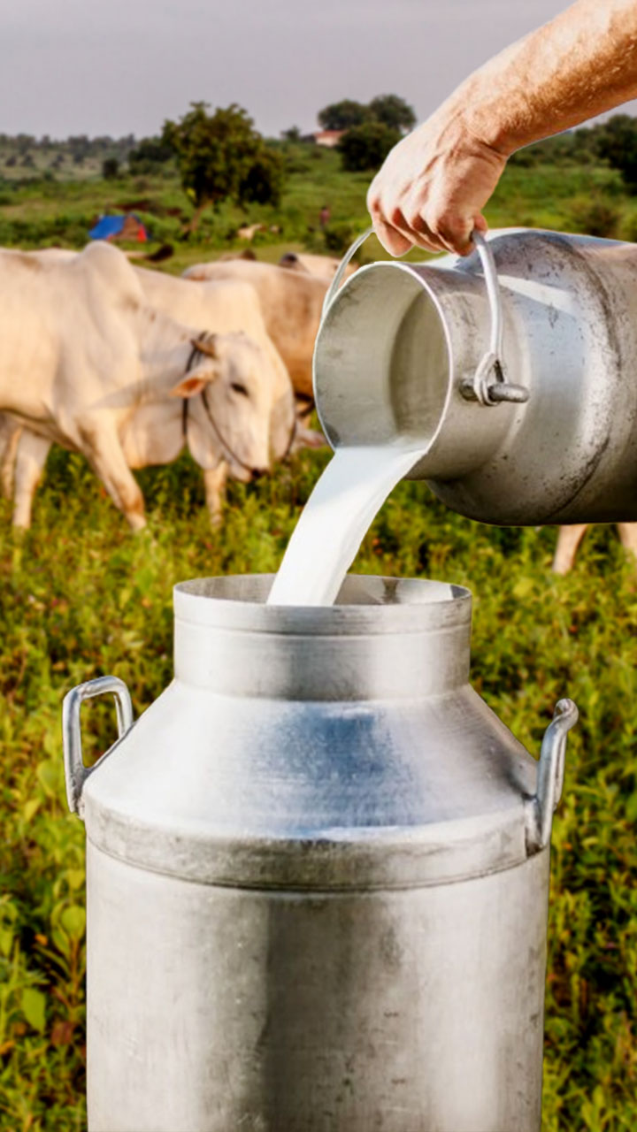 यहां मिलता है दुनिया का सबसे सस्ता दूध