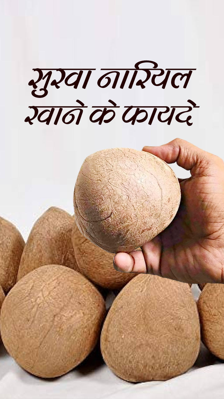 गर्मी में सुखा नारियल खाने के 7 बेहतरीन फायदे
