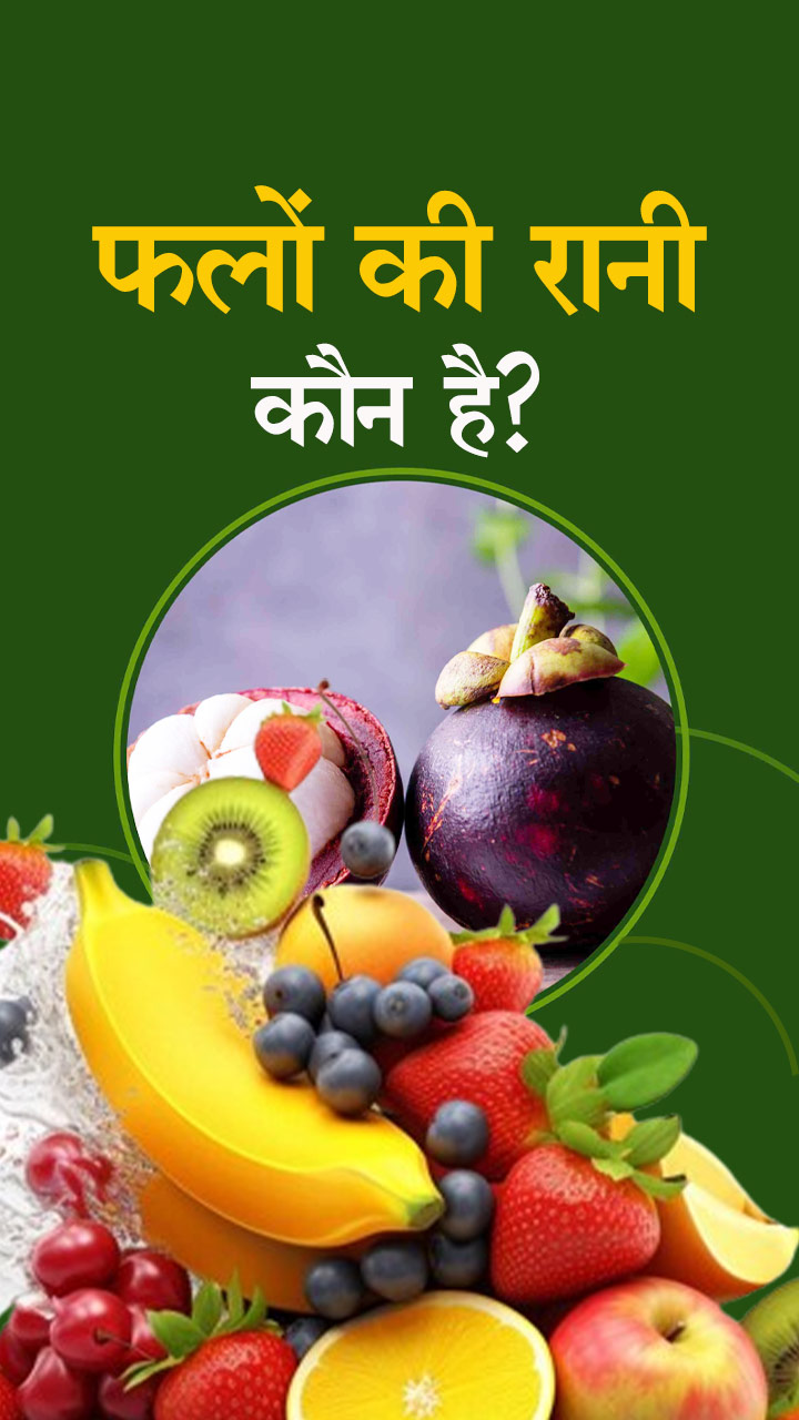 फलों की रानी कौन है?