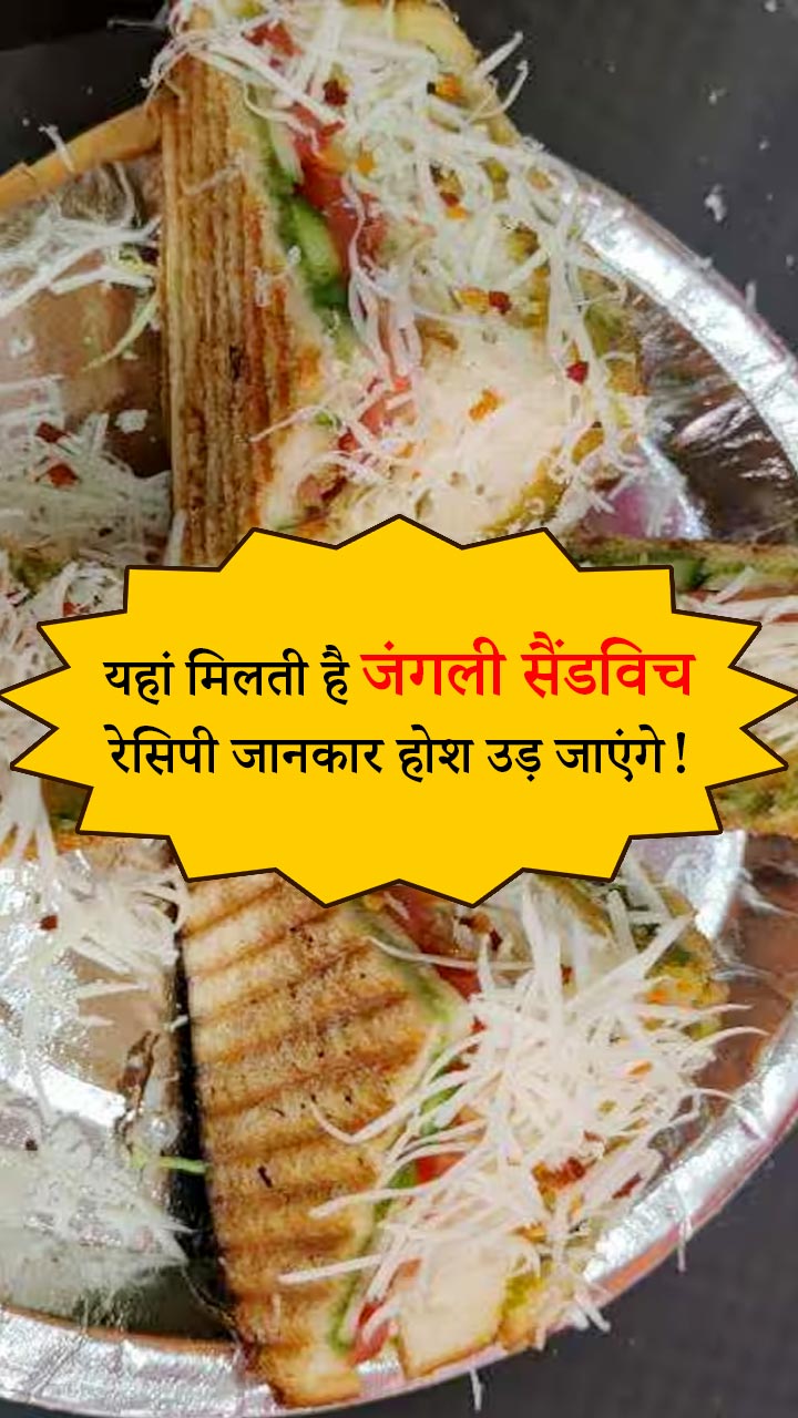 यहां मिलती है जंगली सैंडविच, रेसिपी जानकार होश उड़ जाएंगे!