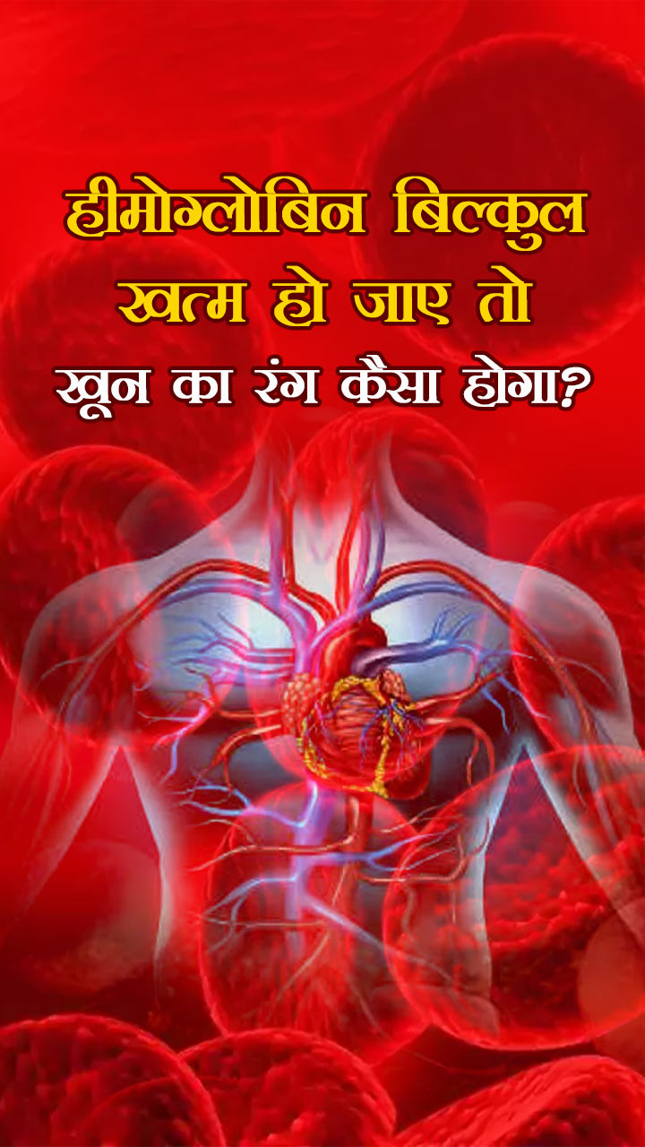 हीमोग्लोबिन बिल्कुल खत्म हो जाए तो खून का रंग कैसा होगा?