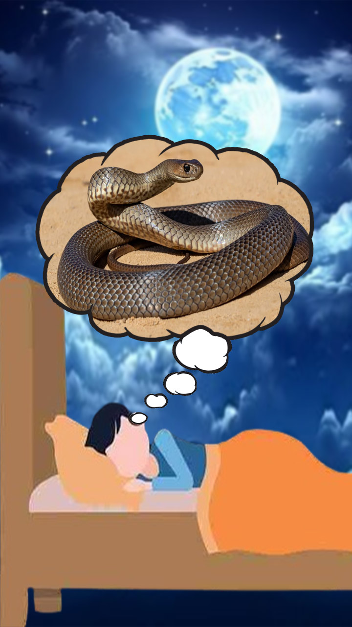 सपने में सांप को देखने का मतलब क्या होता है?