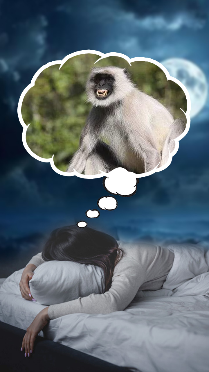 सपने में बार बार दिखाई देते हैं बंदर? जानें इसका अर्थ