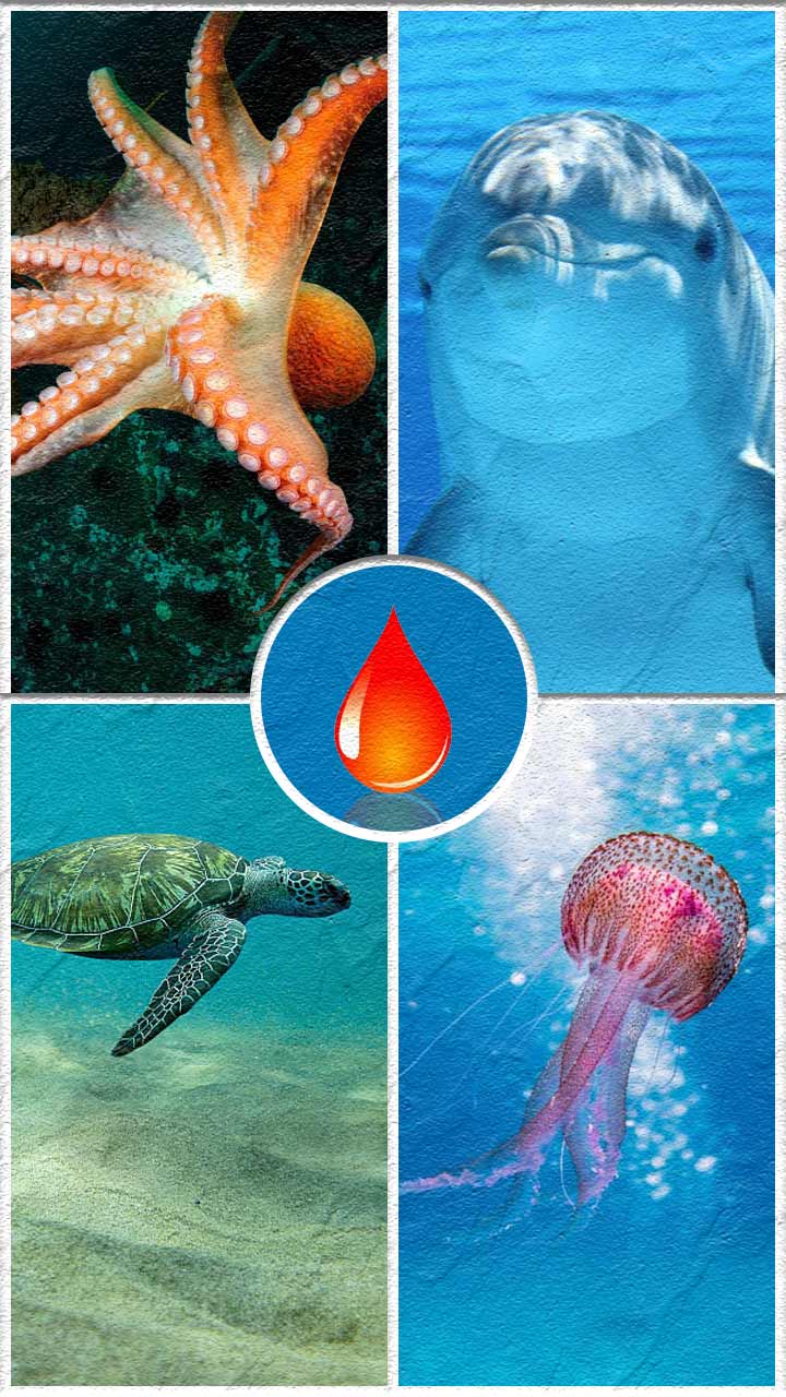 क्या आपको पता है दुनिया का सबसे महंगा खून किस जीव का है?