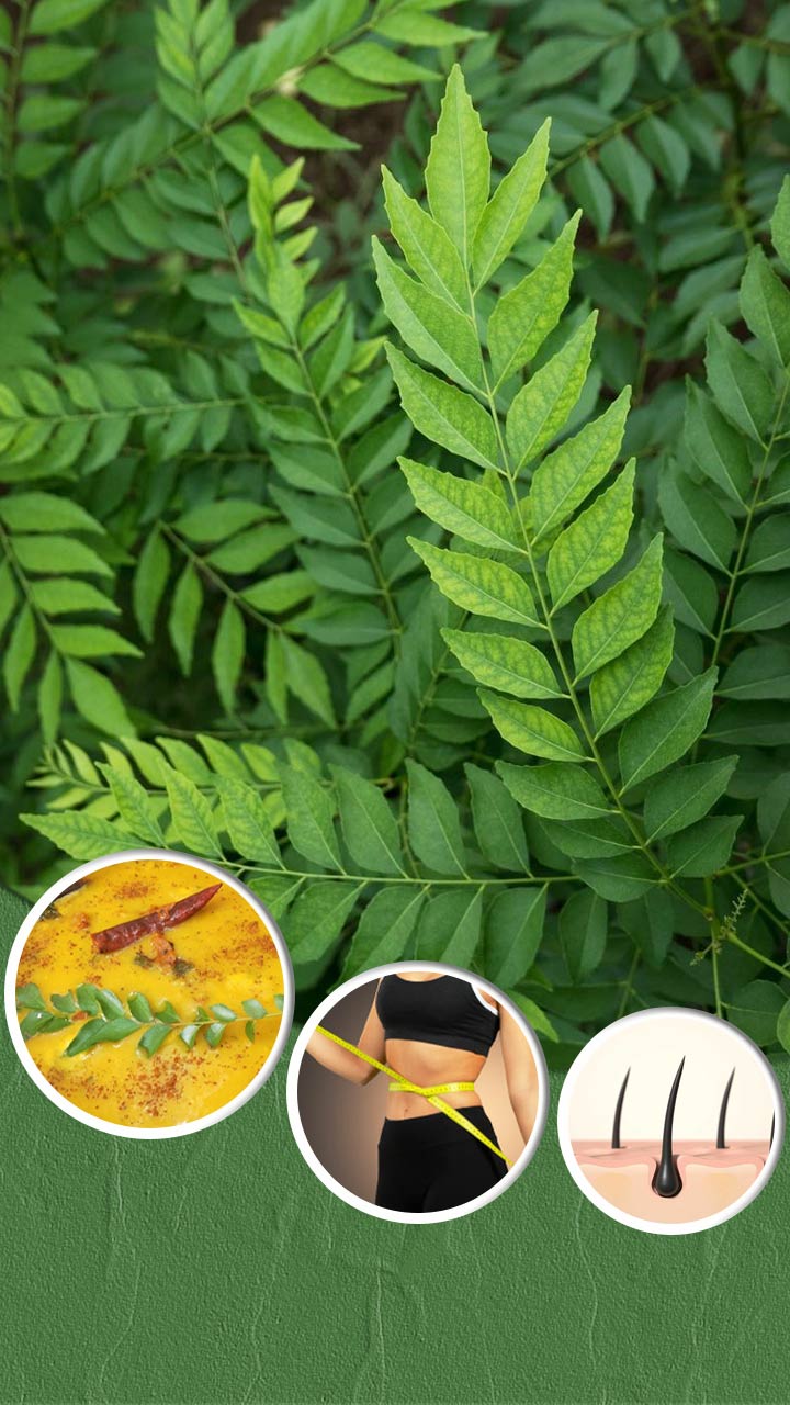 कढ़ी पत्ते के गजब के फायदे