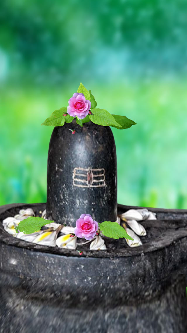 श्रावण व्रत में खाएं ये 5 चीजें, मिलेगी भरपूर एनर्जी