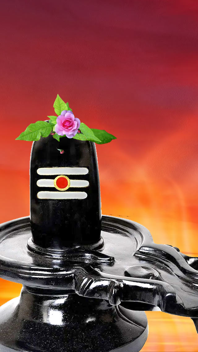 सावन में ये 6 काम न करें