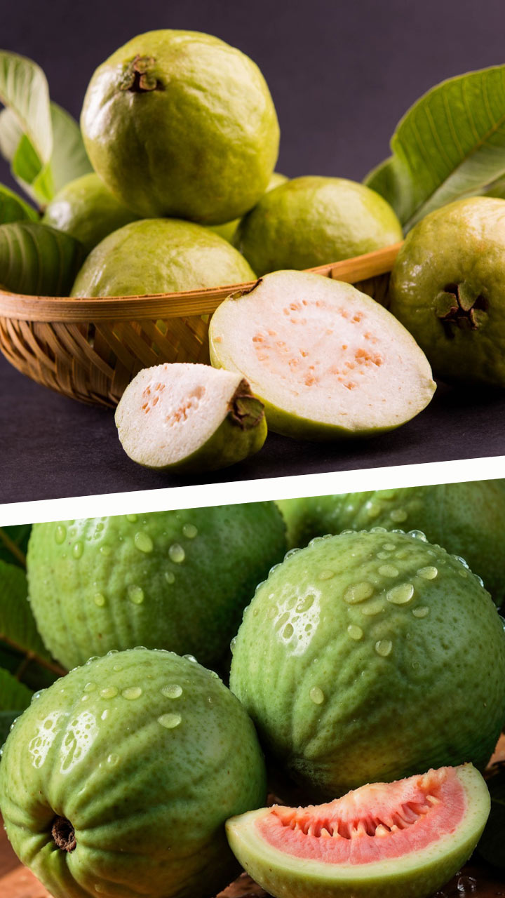 guava benefits
