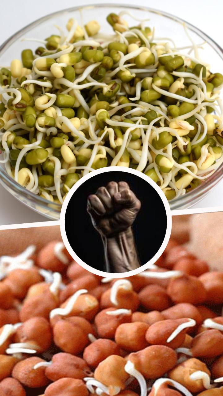 moong dal sprouts vs chana sprouts