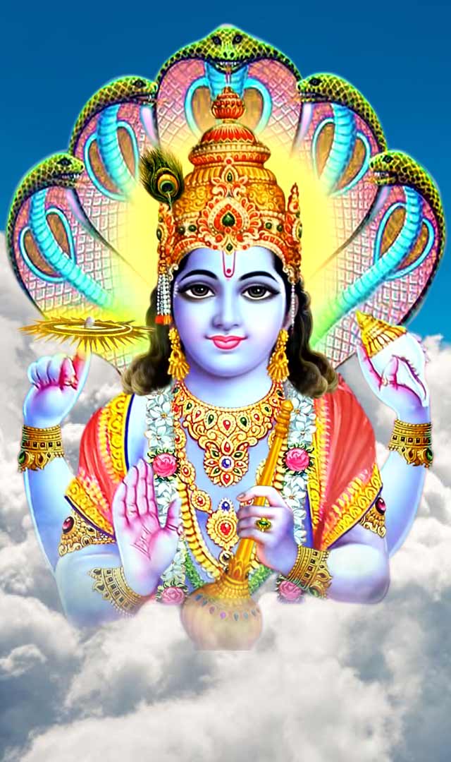 डोल ग्यारस व्रत के 10 फायदे