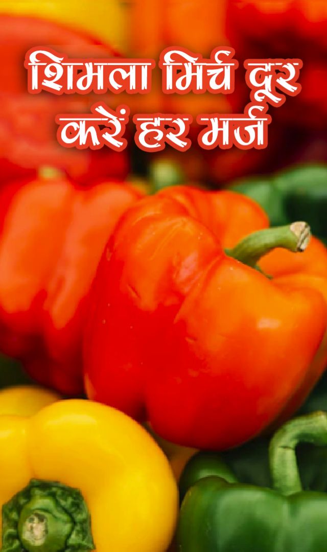 शिमला मिर्च से दूर करें हर मर्ज
