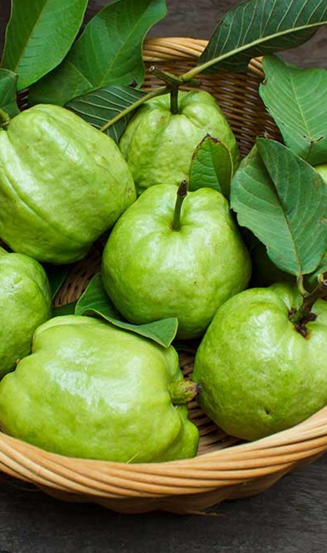 अमरूद किसे नहीं खाना चाहिए? 