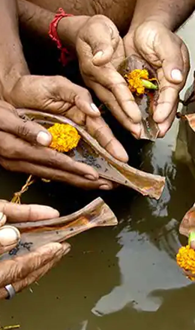 श्राद्धपक्ष में नहीं करें ये 7 गलतियां