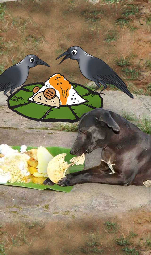 क्या है पंचबलि श्राद्ध कर्म? 