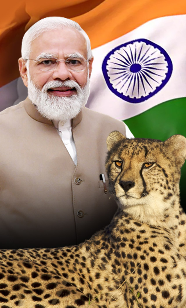 पीएम मोदी ने KNP में किया चीतों का वेलकम