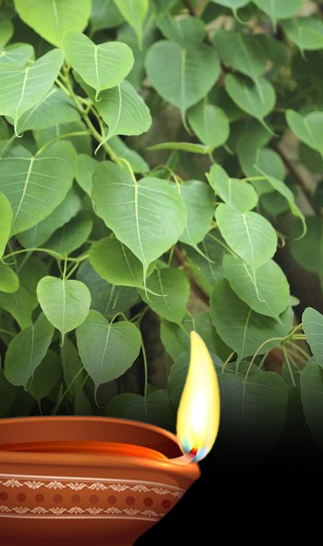 सर्वपितृ अमावस्या पर करें 7 अचूक उपाय