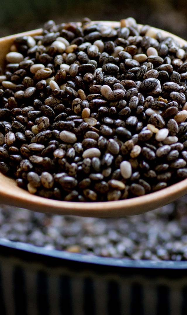 आप भी चिया सीड्स खा रहे हैं तो नुकसान जान लें 