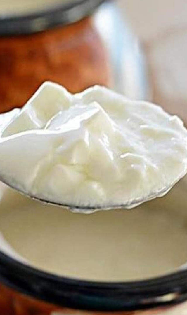 क्या सर्दी के मौसम में दही खा सकते हैं?