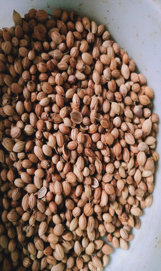 ಕೊತ್ತಂಬರಿ ನೀರಿನ ಅದ್ಭುತ ಲಾಭಗಳು