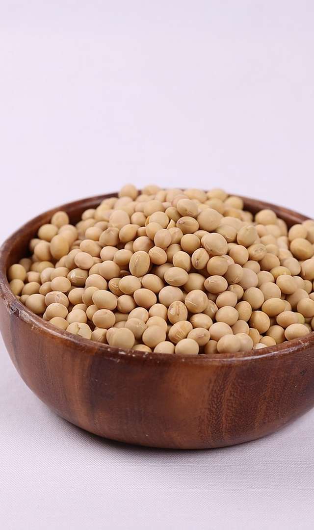 ಬಿಳಿ ಬಟಾಣಿ ತಿನ್ನುವುದರಿಂದ ಕೊಬ್ಬು ಕರಗಬಹುದೇ? 