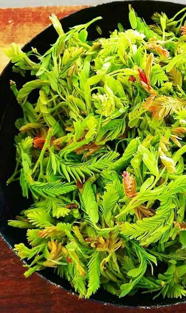 ಮಹಿಳೆಯರು ಹುಣಸೆ ಎಲೆ ತಿಂದರೆ ಏನಾಗುತ್ತದೆ?