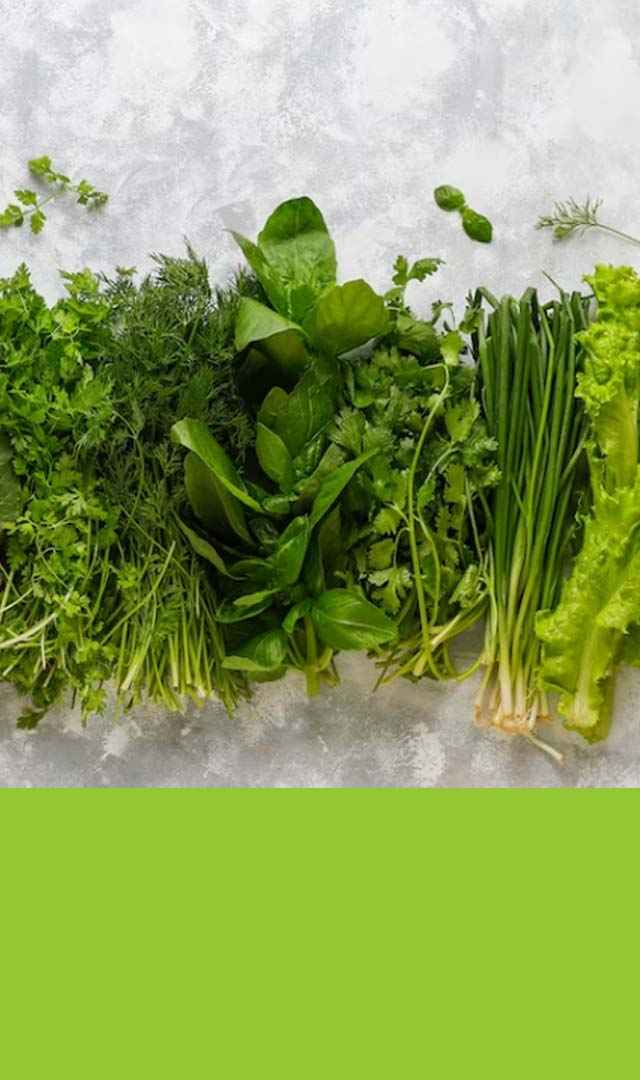 ಮಾನ್ಸೂನ್ ಸಮಯದಲ್ಲಿ ತಪ್ಪಿಸಬೇಕಾದ 7 ಮುಖ್ಯ ಆಹಾರಗಳು