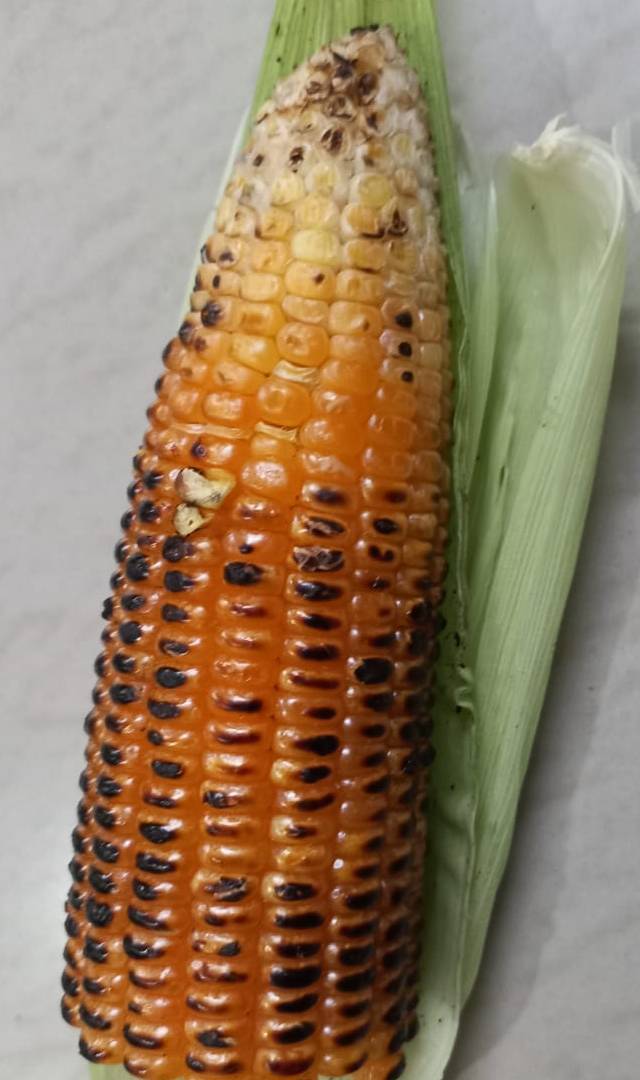 ಸುಟ್ಟ ಜೋಳದ ಕಾಳುಗಳನ್ನು ತಿನ್ನುವುದರಿಂದ ಏನು ಪ್ರಯೋಜನ?