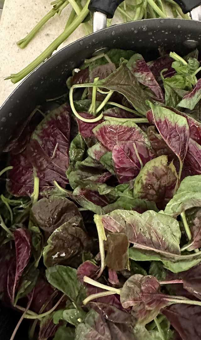 ಕೆಂಪು ಹರಿವೆ ತಿಂದರೆ ಎಷ್ಟೆಲ್ಲಾ ಆರೋಗ್ಯ ಲಾಭಗಳು ಗೊತ್ತಾ?