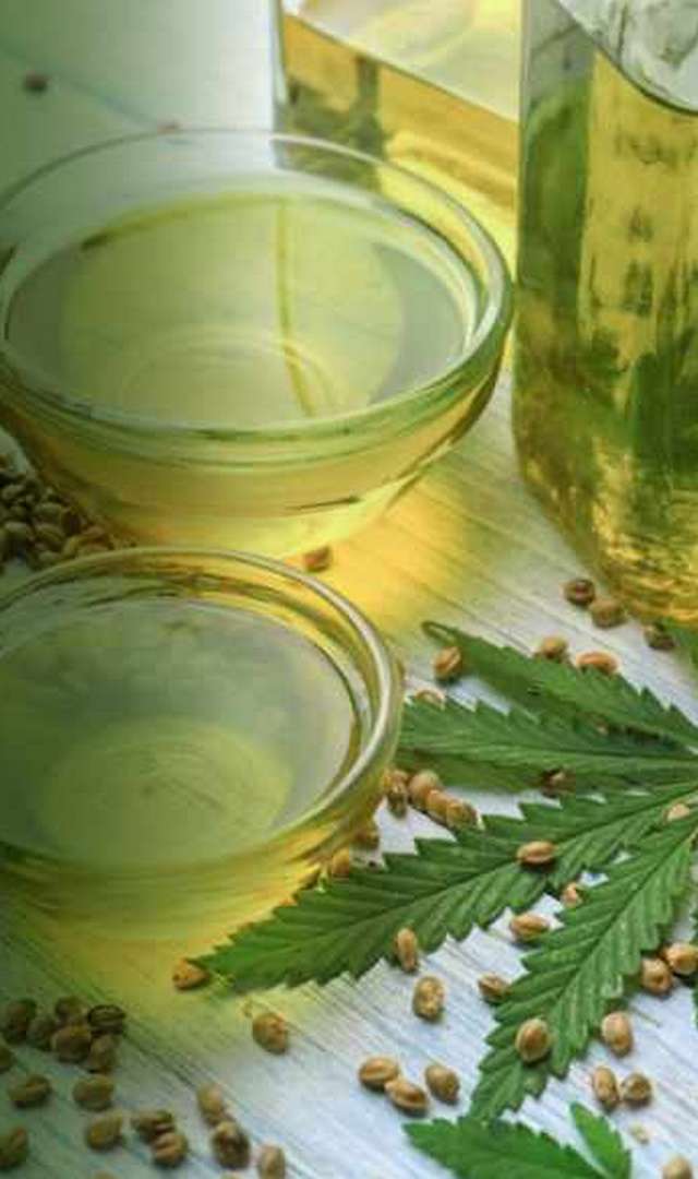 ಸೆಣಬಿನ ಬೀಜಗಳ ಪ್ರಯೋಜನಗಳು ನಿಮಗೆ ತಿಳಿದಿದೆಯೇ?