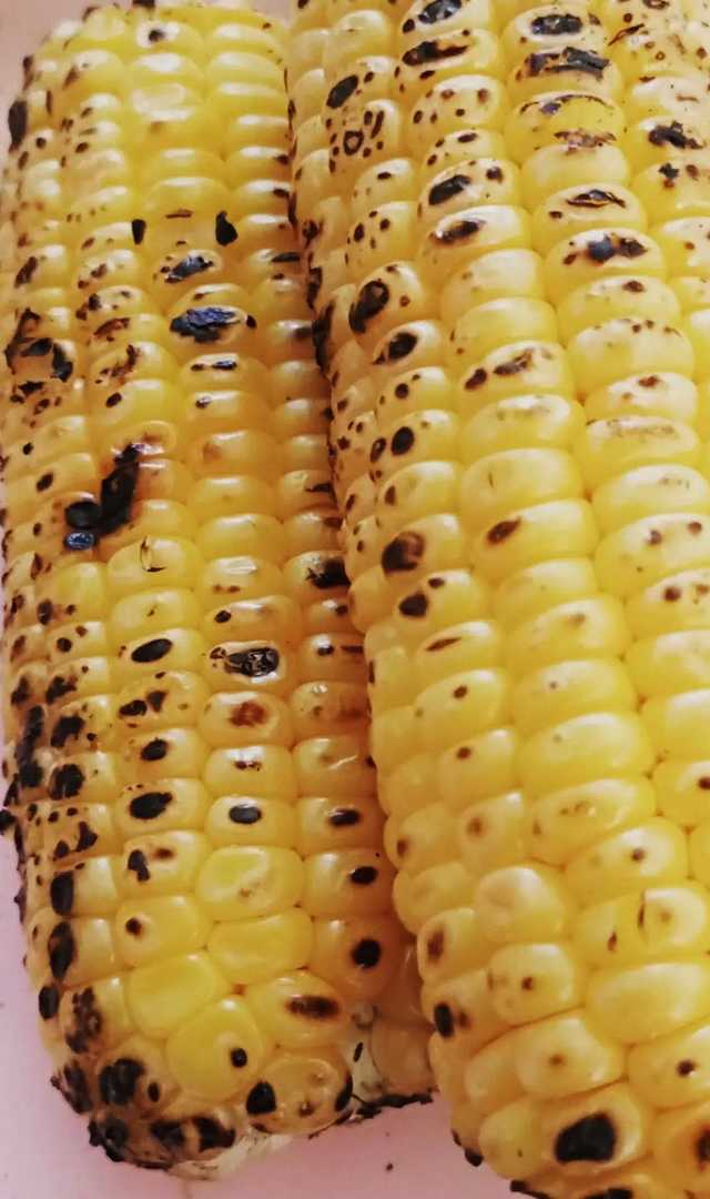 ಜೋಳ ತಿನ್ನುವವರು ತಿಳಿದುಕೊಳ್ಳಬೇಕಾದ ವಿಷಯಗಳು