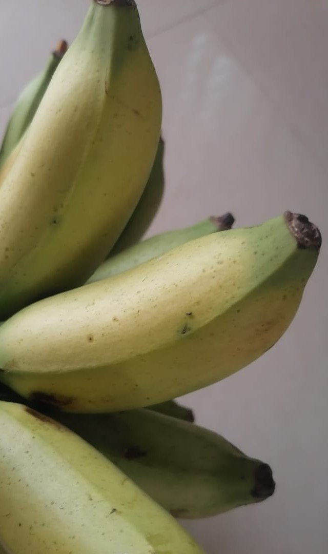 ಬಾಳೆಹಣ್ಣು ತಿನ್ನುವುದರಿಂದ ಆಗುವ ಲಾಭಗಳೇನು?