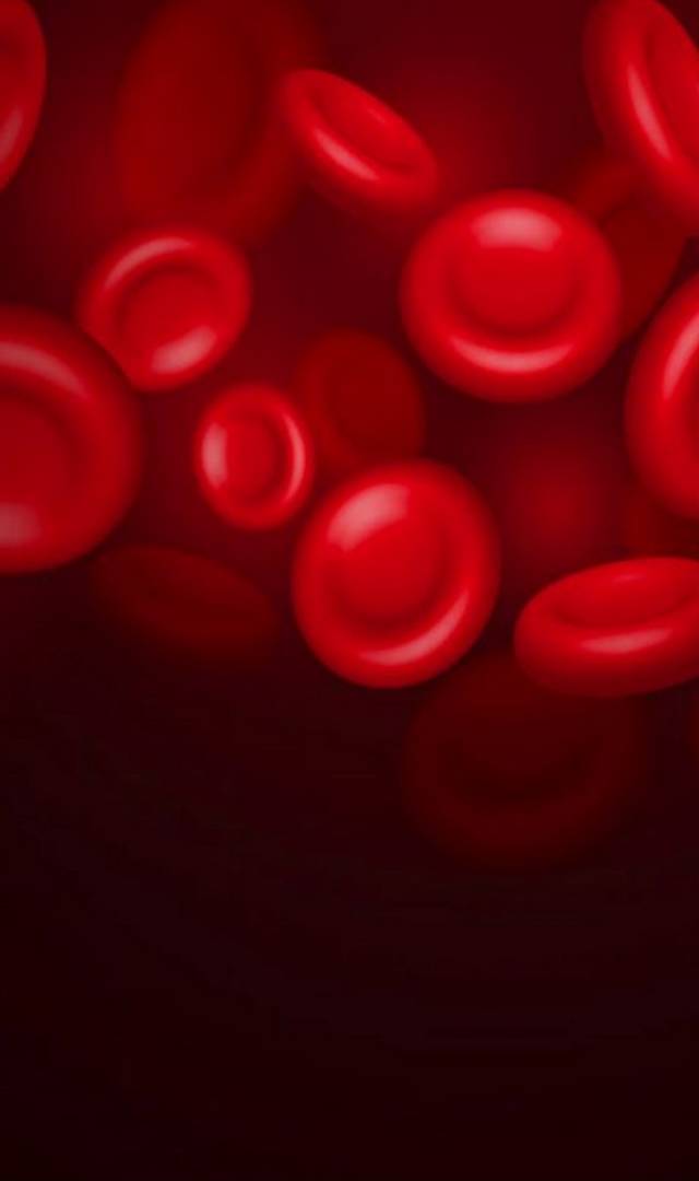 ಡೆಂಗ್ಯೂ ಜ್ವರದಿಂದ ರಕ್ತದಲ್ಲಿ ಬಿದ್ದ ಪ್ಲೇಟ್ಲೆಟ್‌ಗಳನ್ನು ಹೆಚ್ಚಿಸುವ ಮಾರ್ಗ