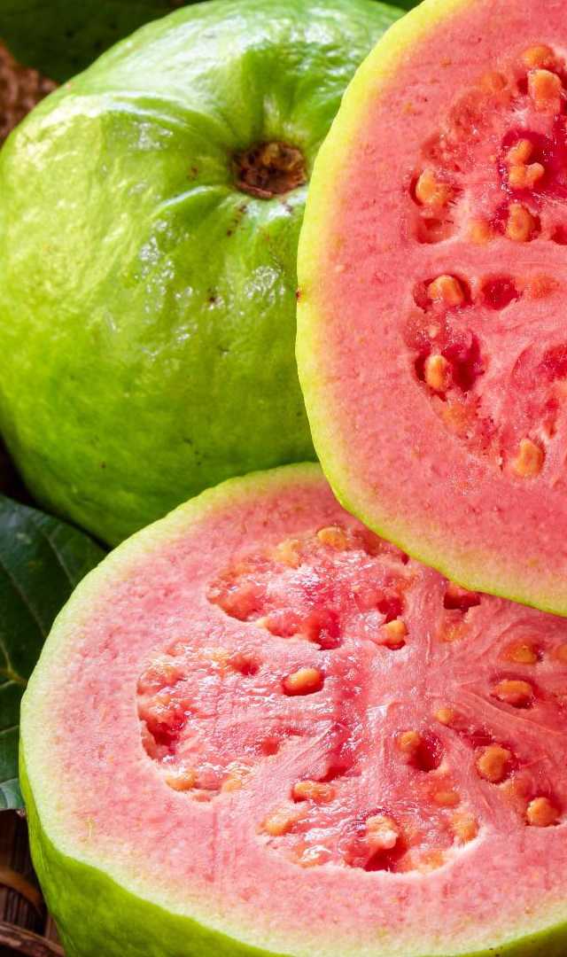 ಪೇರಲೆ ರೋಗ ನಿರೋಧಕ ಶಕ್ತಿ ಹೆಚ್ಚಿಸುವ ಸಾಧನ, ಯಾಕೆ ಗೊತ್ತಾ?