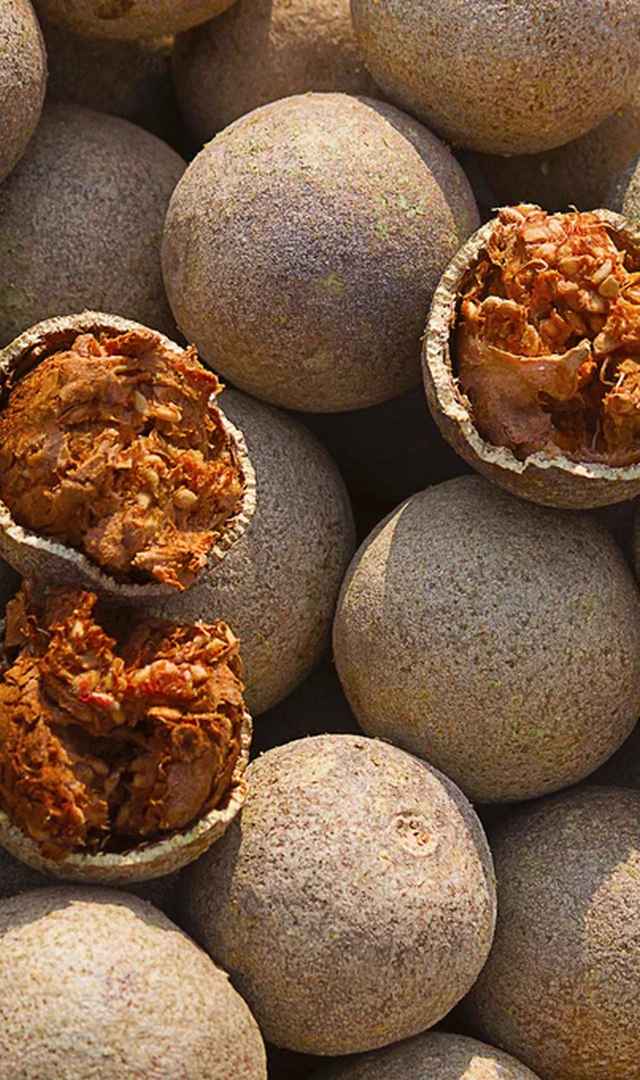 ಬೇಲದ ಹಣ್ಣನ್ನು ಏಕೆ ತಿನ್ನಬೇಕು ಎಂದು ನಿಮಗೆ ತಿಳಿದಿದೆಯೇ?