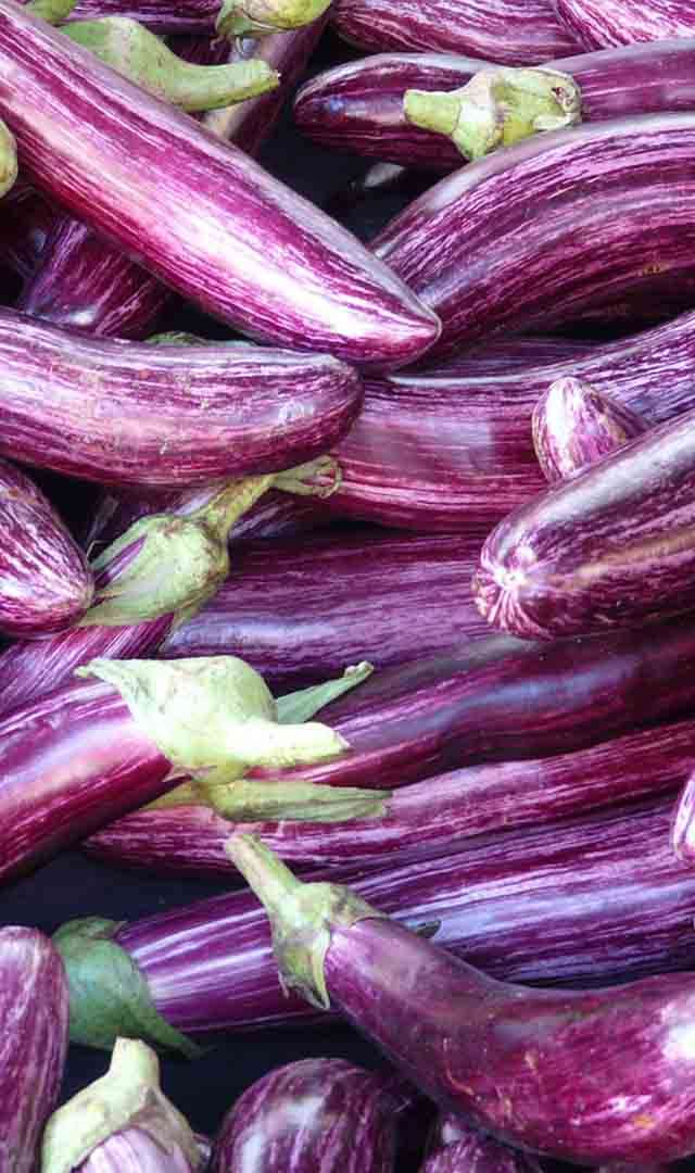 ನೇರಳೆ ಬದನೆ ಯಾರು ತಿನ್ನಬಾರದು?