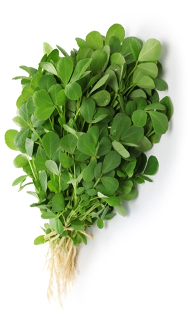 ಇದನ್ನು ತಿಳಿದರೆ ಮೆಂತ್ಯ ಸೊಪ್ಪನ್ನು ತಿನ್ನದೇ ಇರೋದಿಲ್ಲ