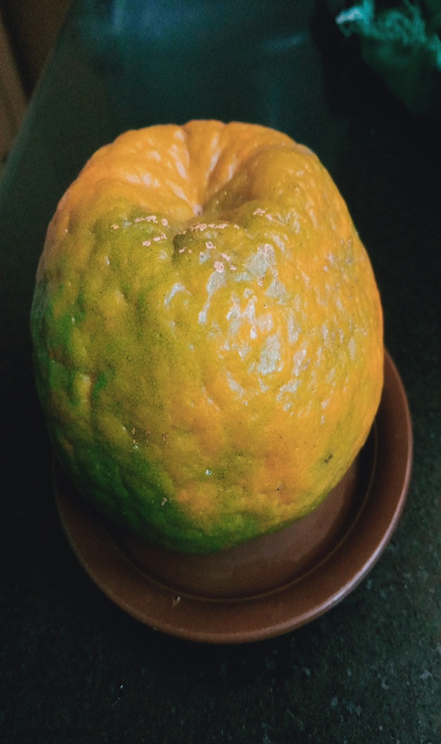 ಕಿತ್ತಳೆ ತಿನ್ನುವುದರಿಂದ ಆಗುವ ಹಲವು ಪ್ರಯೋಜನಗಳೇನು?