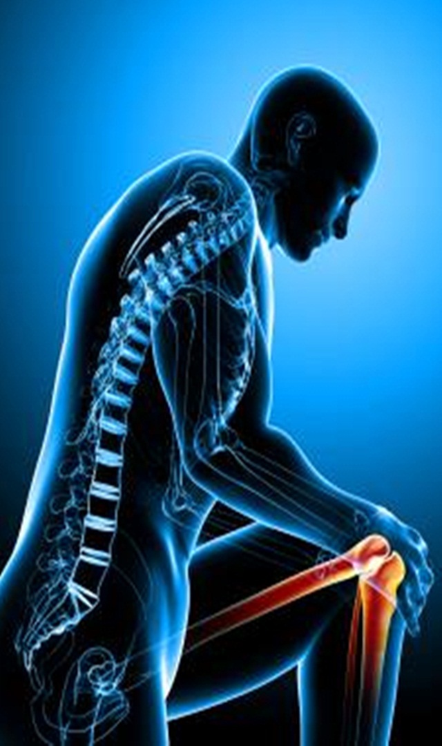 ಯಾವ ಆಹಾರಗಳು ಮೂಳೆಯ ಬಲವನ್ನು ಹೆಚ್ಚಿಸುತ್ತವೆ?