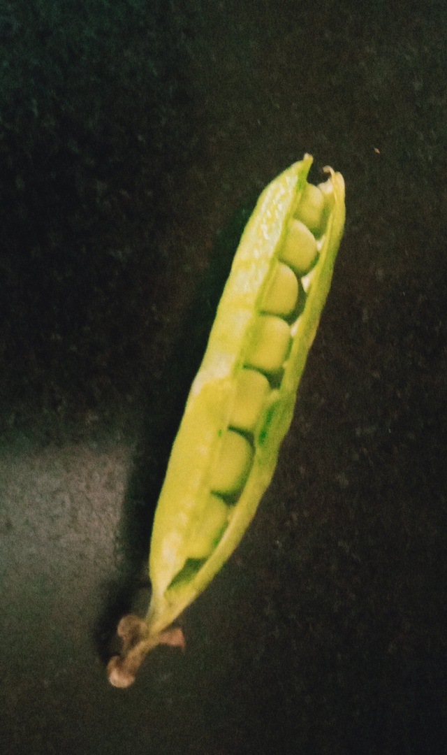 ಹಸಿರು ಬಟಾಣಿ ತಿನ್ನುವುದರಿಂದ ಏನು ಪ್ರಯೋಜನ?