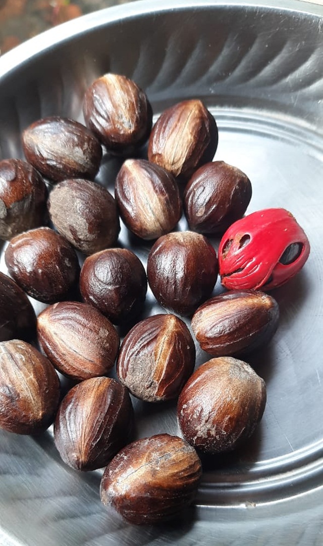 ಪುರುಷರು ಹಾಲಿನೊಂದಿಗೆ ಜಾಯಿಕಾಯಿ ಪುಡಿಯನ್ನು ಸೇವಿಸಿದರೆ ಏನಾಗುತ್ತದೆ?