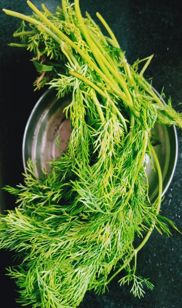  ಸೊಪ್ಪು ಚಿಗುರೆಲೆಗಳ ಮೇಲೋಗರ ಸಾಂತ್ವನ ನೀಡುತ್ತದೆ.