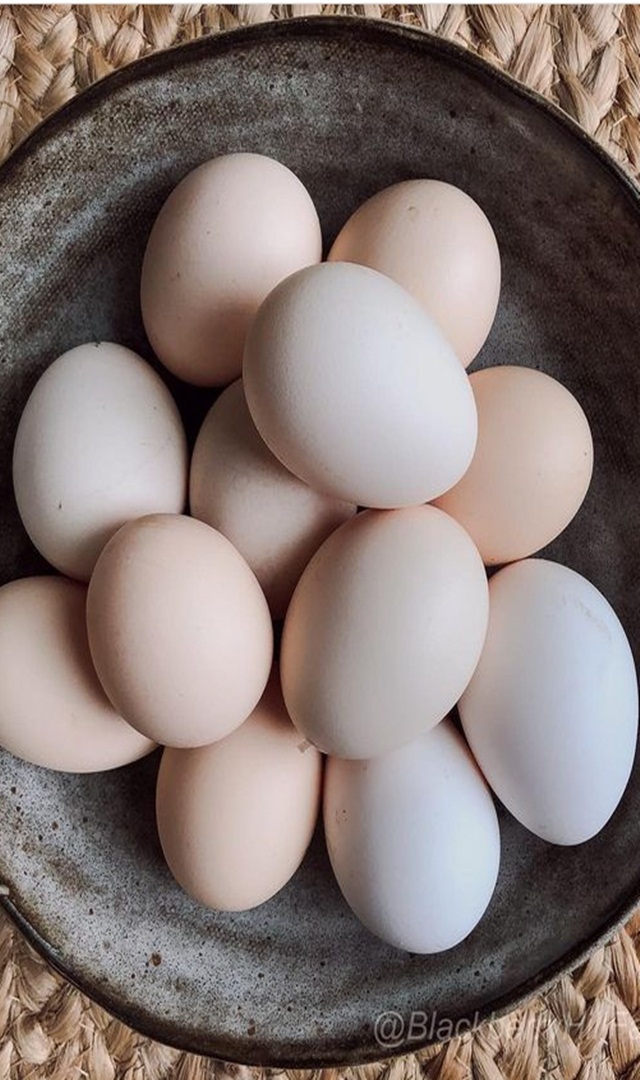 ಪುರುಷರು ಪ್ರತಿ ದಿನ ಬೆಳಿಗ್ಗೆ ಮೊಟ್ಟೆ ಸೇವಿಸಿದರೆ ಆರೋಗ್ಯಕ್ಕೆ ಲಾಭ 