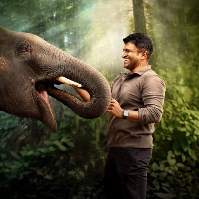 ಪುನೀತ್ ರಾಜ್ ಕುಮಾರ್ ಗಂಧದ ಗುಡಿ ಪ್ರಾಜೆಕ್ಟ್ ಗೆ ಮಾಡಿದ ವೆಚ್ಚವೆಷ್ಟು ಗೊತ್ತಾ?!