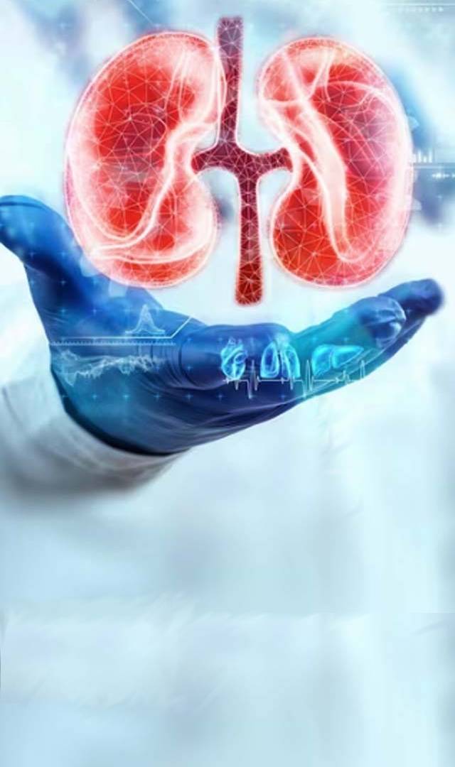 ಕಿಡ್ನಿ ಆರೋಗ್ಯಕ್ಕಾಗಿ ಟಾಪ್ ಆಹಾರಗಳು