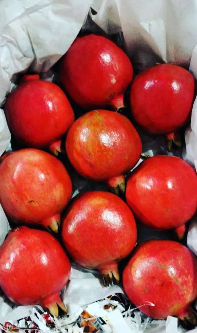 ಔಷಧೀಯ ಗುಣಗಳ ಖಜಾನೆ ಈ ದಾಳಿಂಬೆ ಹಣ್ಣು