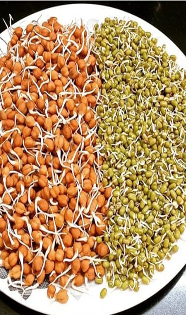 ಪೋಷಕಾಂಶಗಳು ಸಮೃದ್ಧವಾಗಿರುವ ಮೊಳಕೆಗಳನ್ನು ಸೇವಿಸಿ