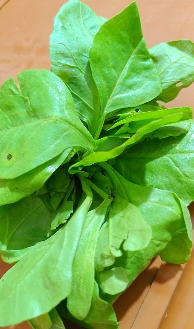 ದೇಹದಲ್ಲಿ ರಕ್ತದ ಚಲನೆಯನ್ನು ಸರಾಗವಾಗಿಸಲು ಈ ಸೊಪ್ಪು ಸೇವಿಸಿ