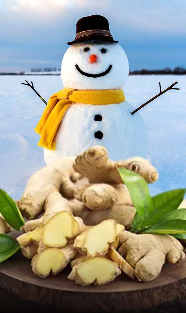  ಅಧಿಕ ಕೊಲೆಸ್ಟ್ರಾಲ್ ಮಟ್ಟ ನಿವಾರಣೆಗೆ ಶುಂಠಿ ರಾಮಬಾಣ 