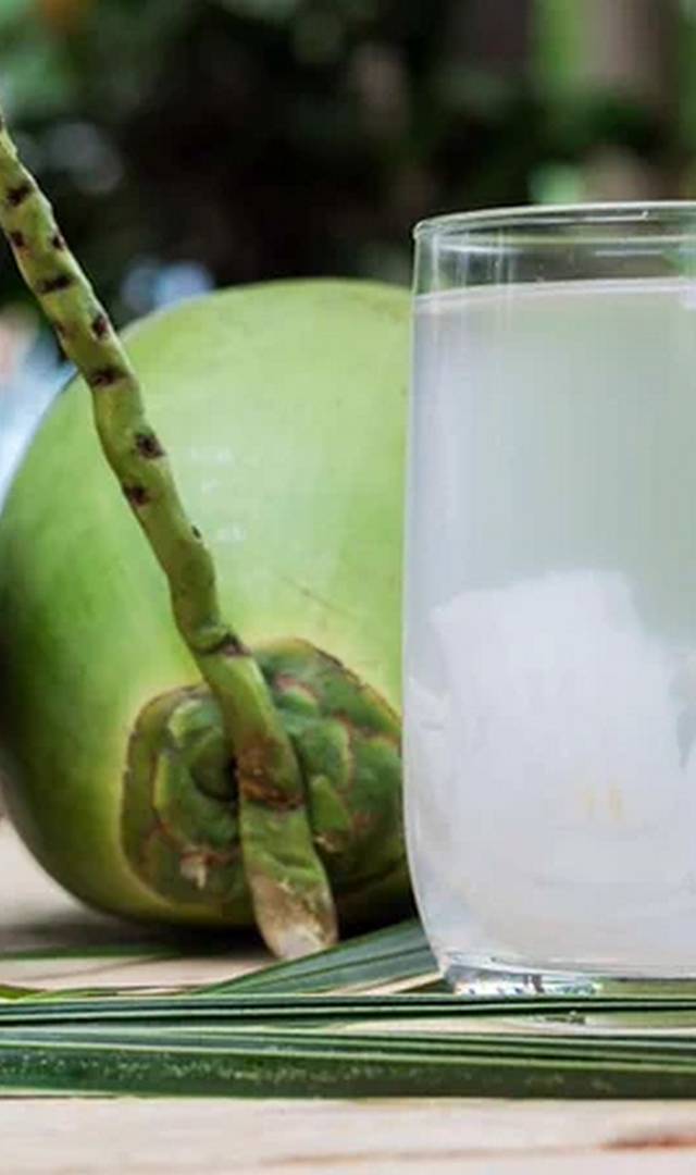 ಟೆಂಗಿನ ಹಾಲಿನಲ್ಲಿದೆ ದೇಹದ ಆರೋಗ್ಯಕ್ಕೆ  ನೀಡುವ ಶಕ್ತಿ